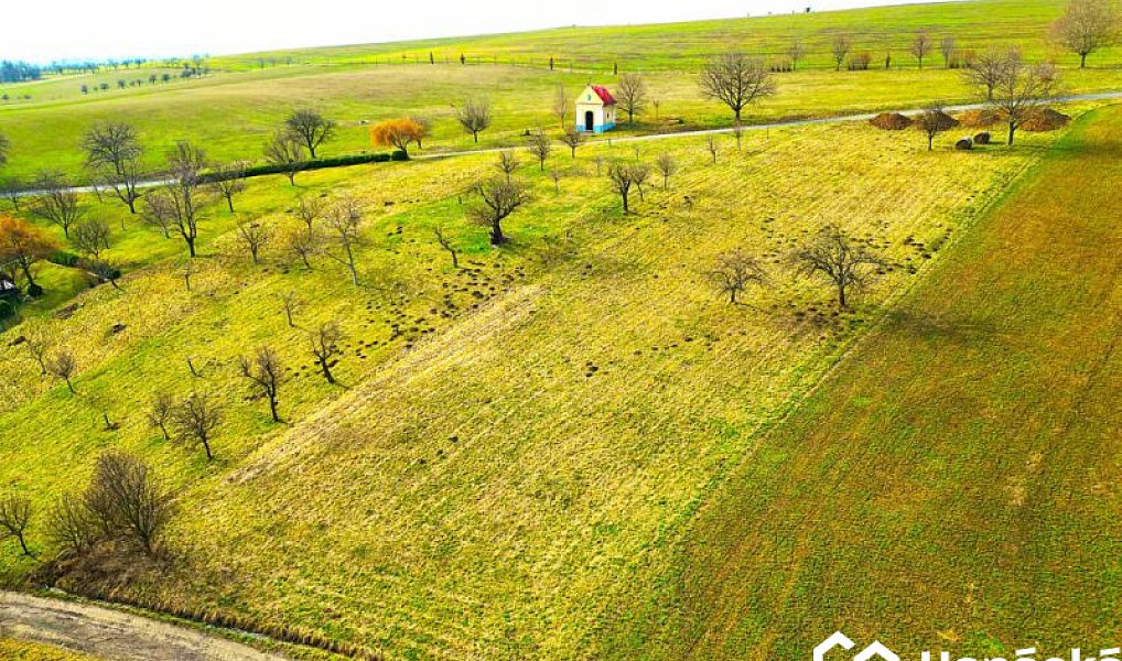 Prodej zahrady 2 399 m², Bořenovice – náhled fotky 2