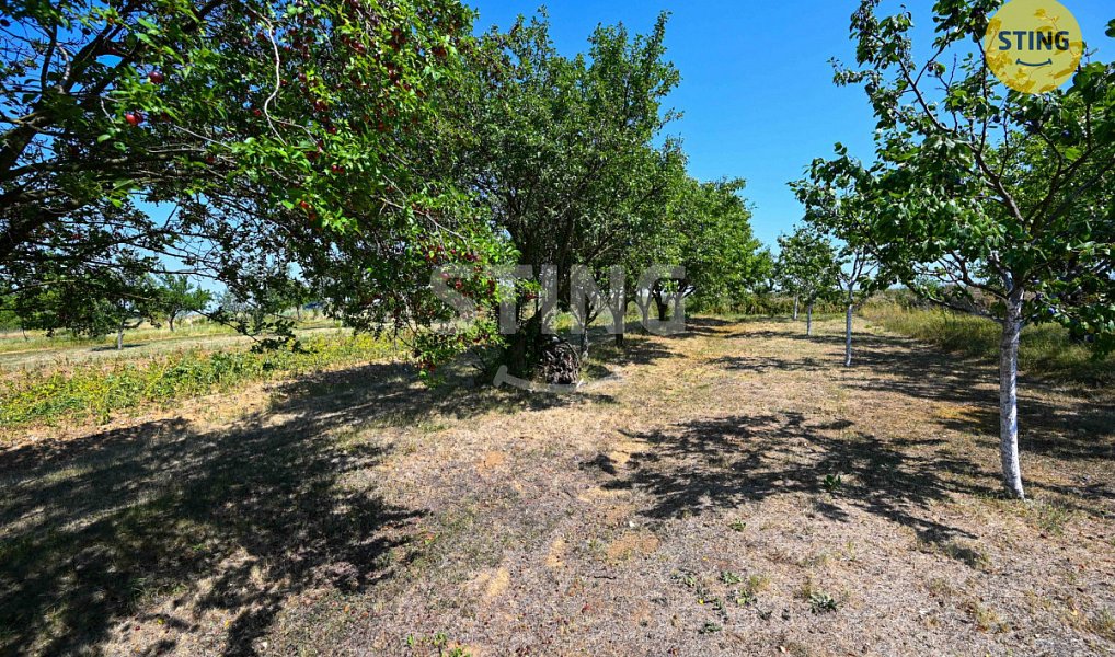 Prodej zahrady 454 m², Kunovice – náhled fotky 5
