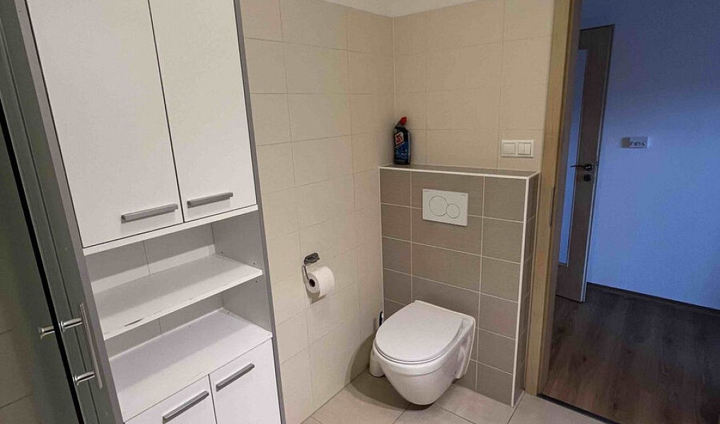 Pronájem bytu 1+kk 30 m², Boskovice – náhled fotky 5