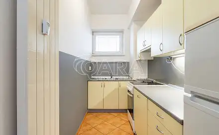 Pronájem bytu 1+kk 39 m², Křídlovická, Brno - Staré Brno