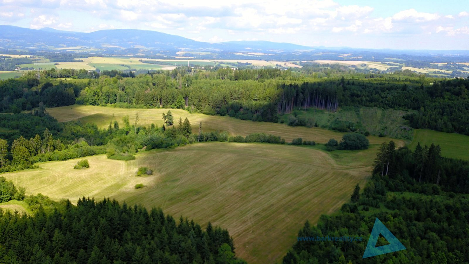 Prodej louky 24 781 m²