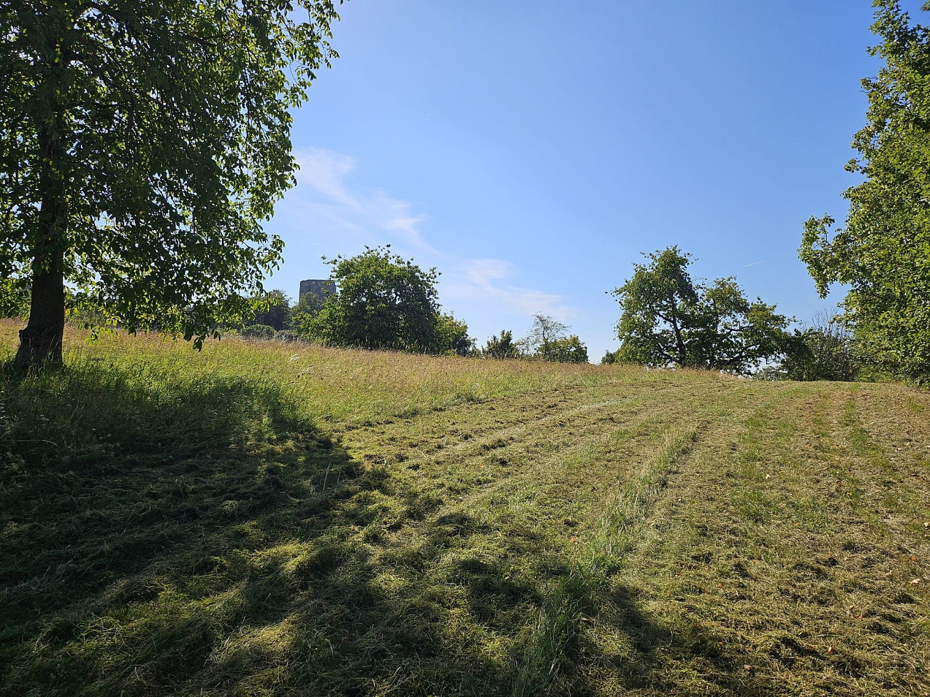 Prodej pole 2 632 m² – fotografie 4