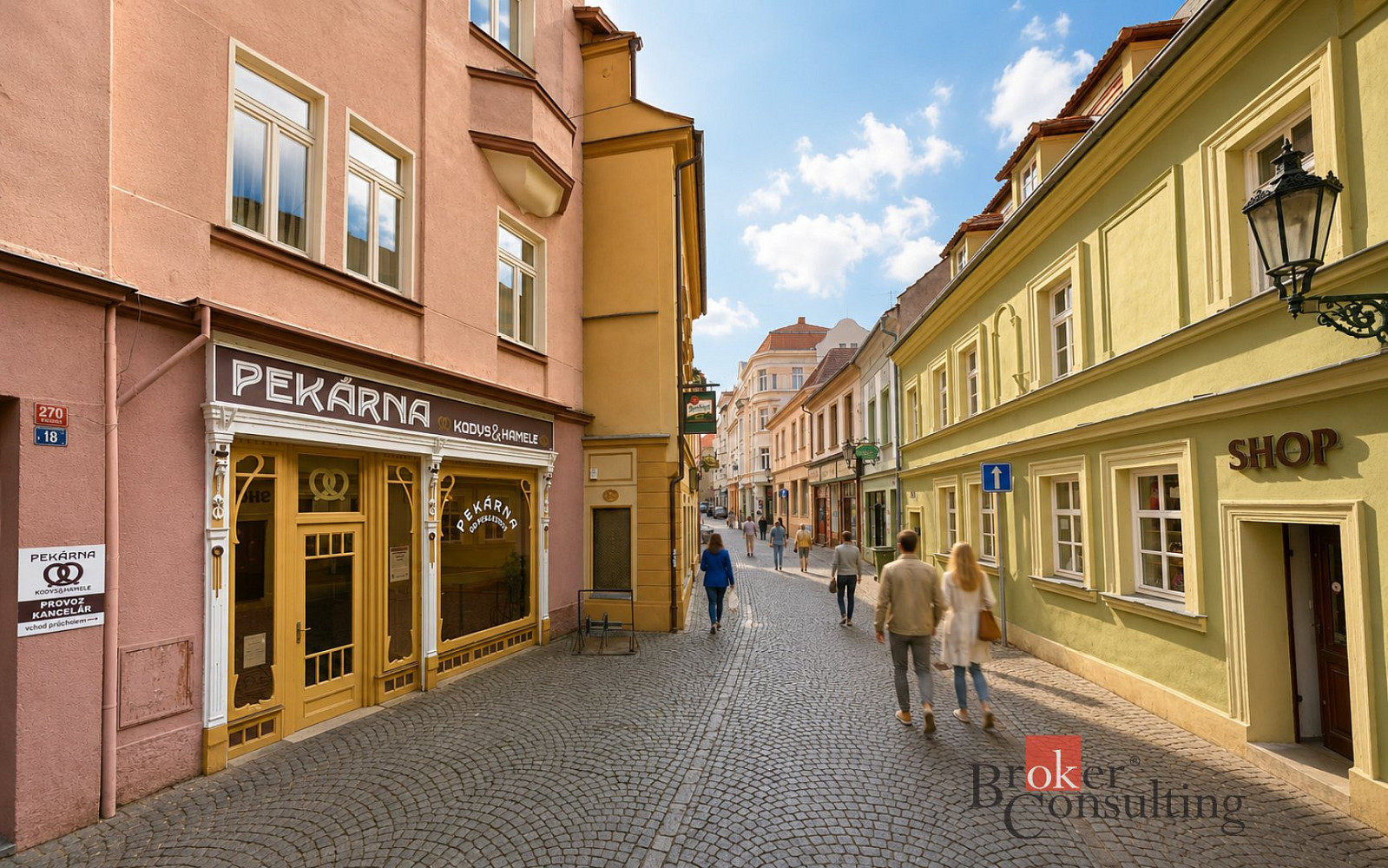Prodej komerčního objektu (jiného typu) 499 m² – fotografie 3