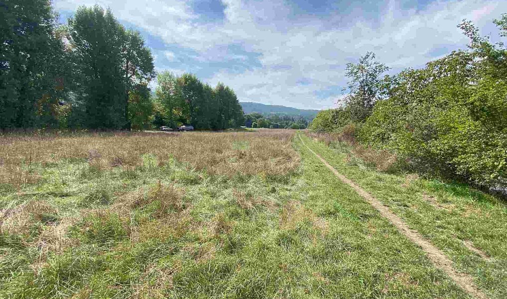 Prodej pozemku 601 m², Všenory – náhled fotky 3