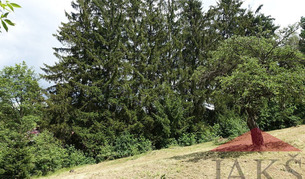 Prodej stavebního pozemku 1 205 m², Kašperské Hory – náhled fotky 4