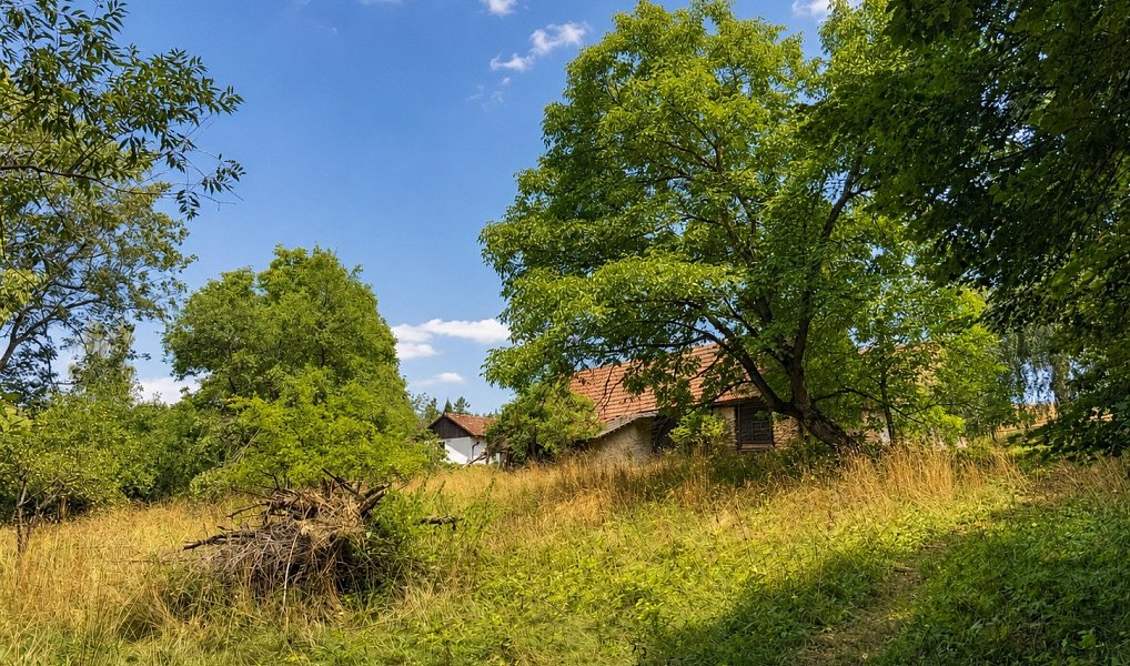 Prodej domu 75 m² s pozemkem 3 420 m², Koberovice – náhled fotky 24