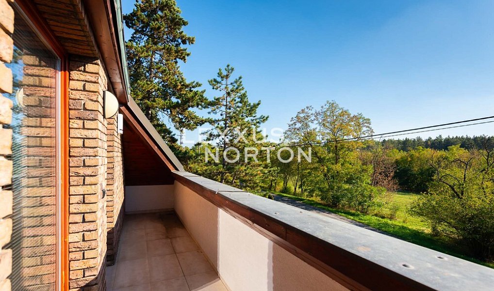Prodej domu 378 m² s pozemkem 1 502 m², Zvole – náhled fotky 10