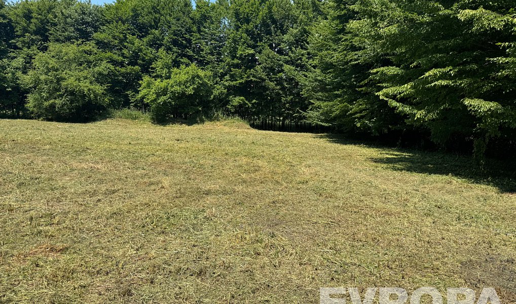 Prodej stavebního pozemku 1 199 m², Sendražice – náhled fotky 7
