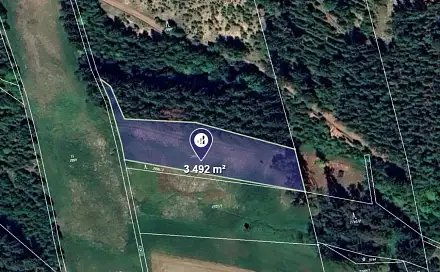 Prodej lesa 3 492 m², Čistá u Horek, okres Semily