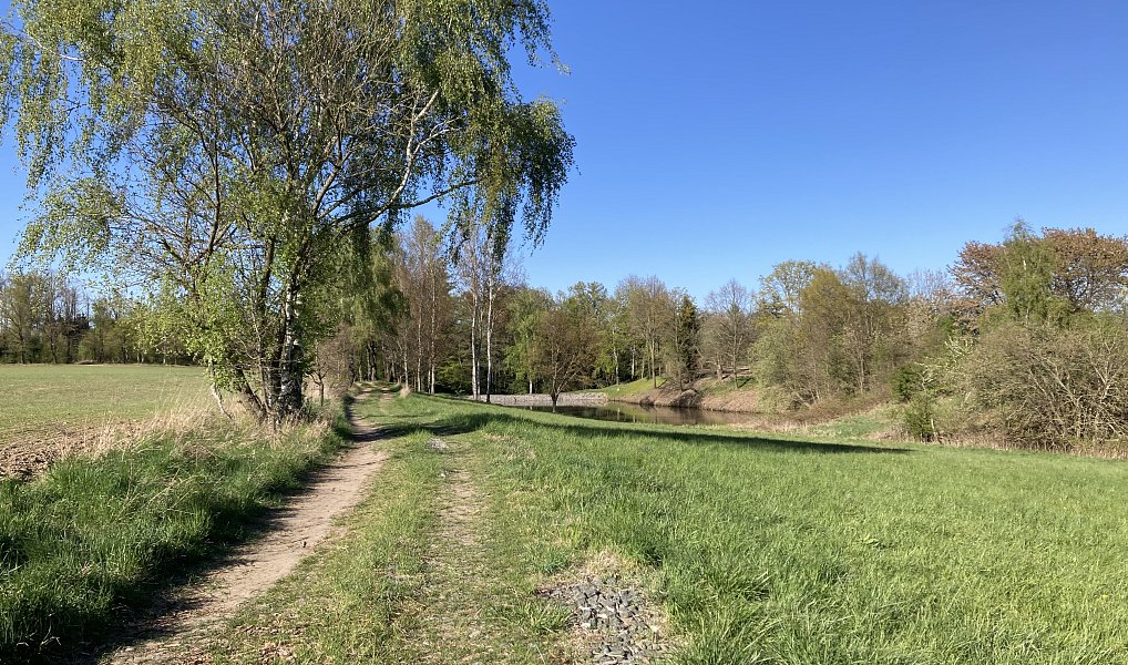 Prodej stavebního pozemku 1 153 m², Rybníček – náhled fotky 10