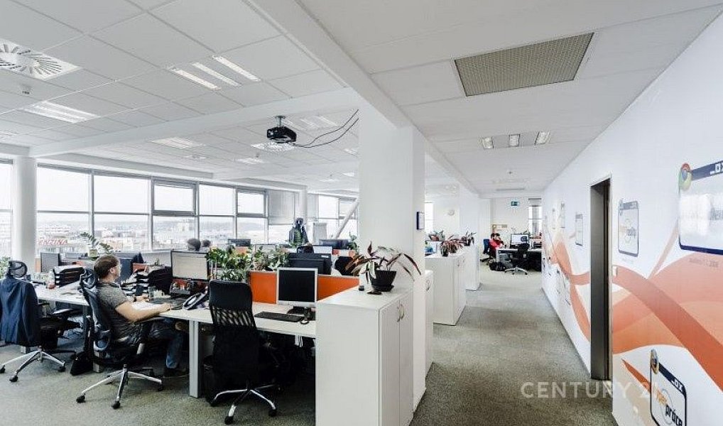 Pronájem kanceláře 883 m², Praha – náhled fotky 2