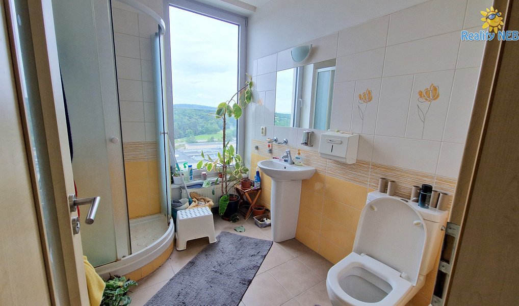 Prodej bytu 4+kk 446 m², Brno – náhled fotky 15