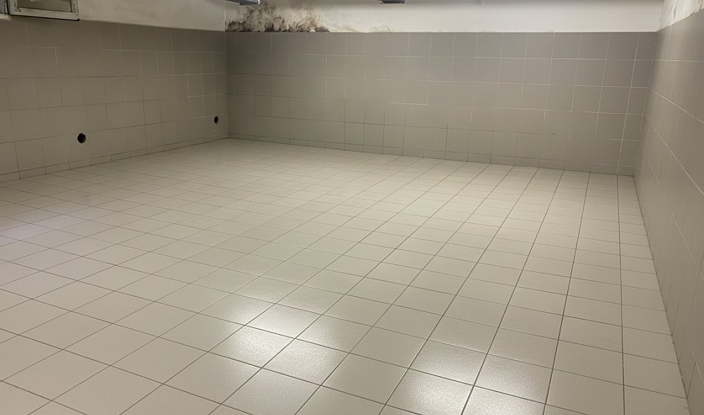 Prodej obchodních prostor 1 800 m², Jihlava – náhled fotky 4