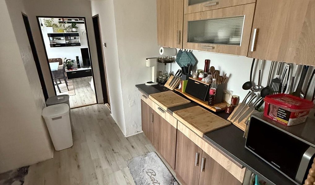 Prodej domu 430 m² s pozemkem 845 m², Němětice – náhled fotky 11
