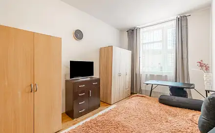 Prodej bytu 1+kk 24 m², Dačického, Brno - Husovice