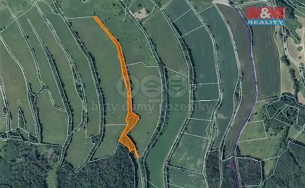 Prodej lesa 13 099 m², Žandov, okres Česká Lípa