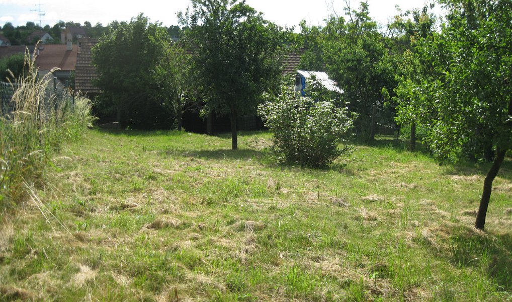 Prodej stavebního pozemku 720 m², Jalubí – náhled fotky 15