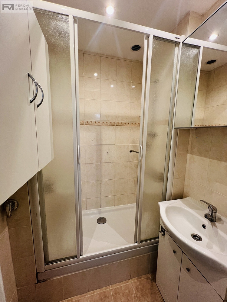 Pronájem bytu 2+1 54 m² — photo 3