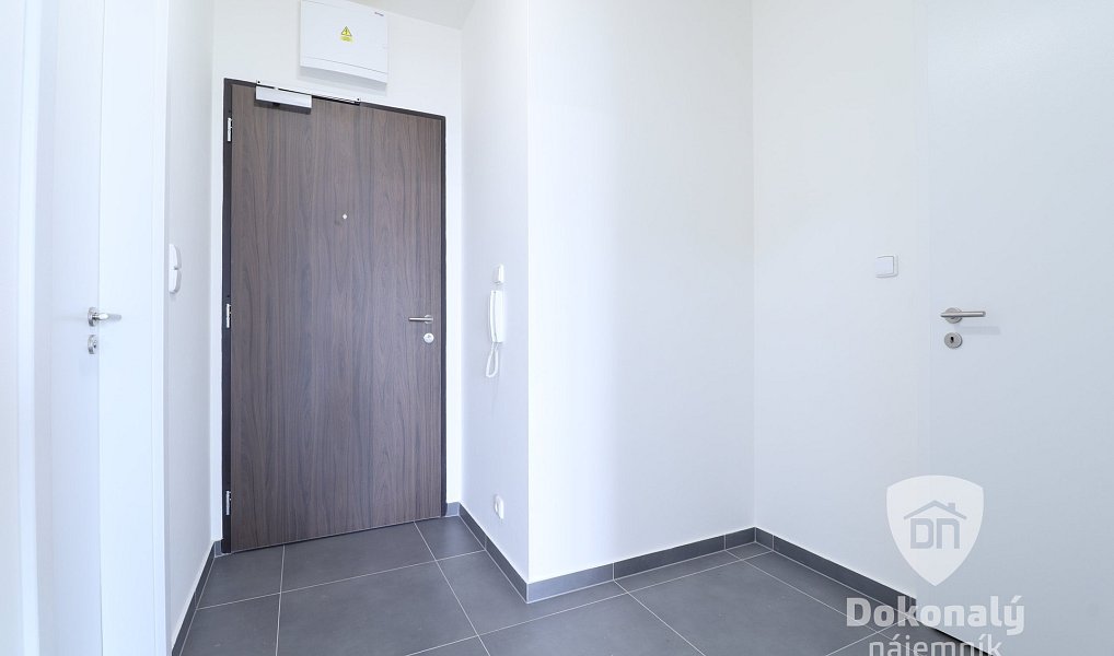Pronájem bytu 1+kk 53 m², Praha – náhled fotky 7