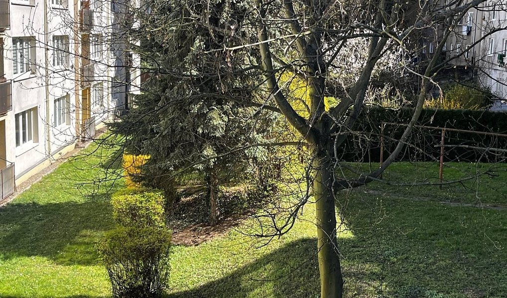 Prodej bytu 1+kk 31 m², Litoměřice – náhled fotky 15