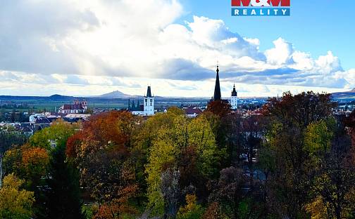 Prodej bytu 1+1 45 m², Daliborova, Litoměřice - Předměstí