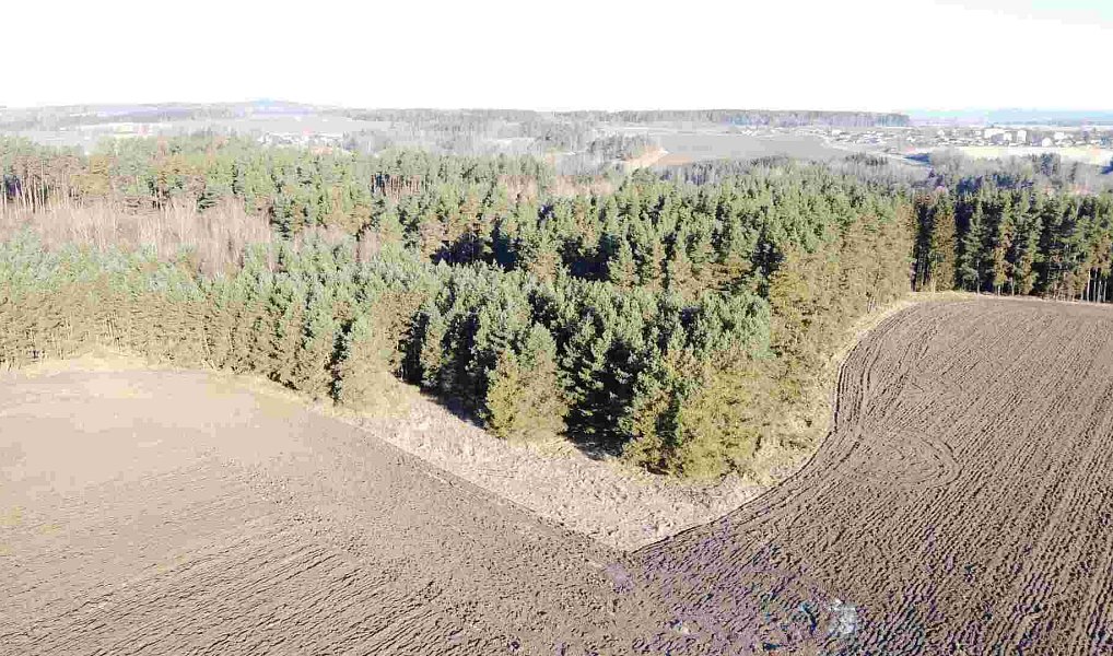 Prodej pozemku 3 847 m², Kočov – náhled fotky 6