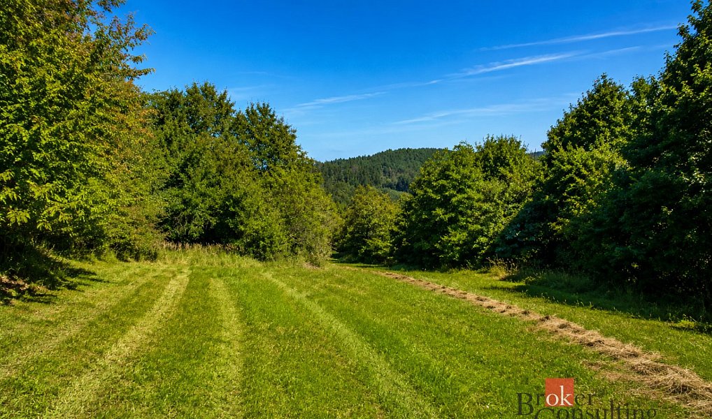 Prodej louky 3 075 m², Borotín – náhled fotky 4