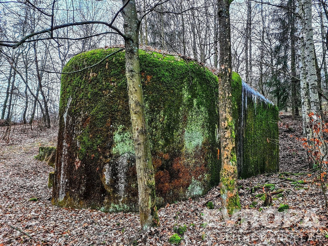Prodej pozemkové parcely č. 448/10 s možností nájemní smlouvy na izolovaný pěchotní srub ts 60 u sta — photo 4