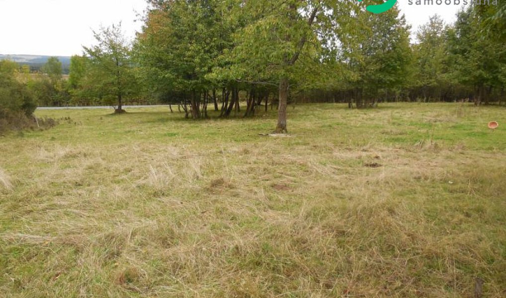 Prodej stavebního pozemku 2 000 m², Konstantinovy Lázně – náhled fotky 2