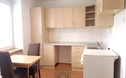 Pronájem bytu 1+1 28 m², Karla Čapka, Sokolov