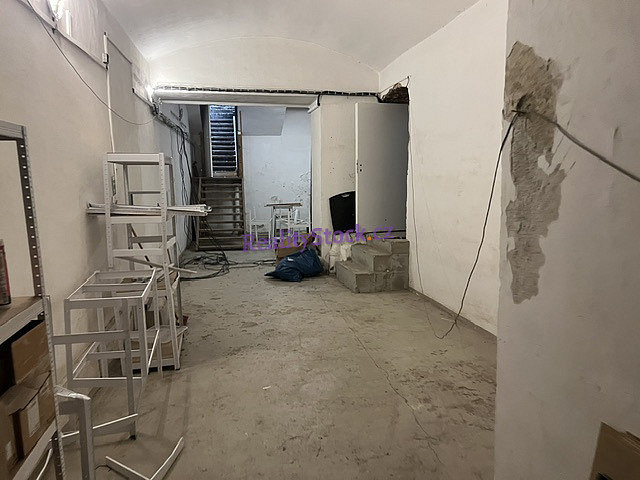 Pronájem skladovacích prostor 50 m² – fotografie 3