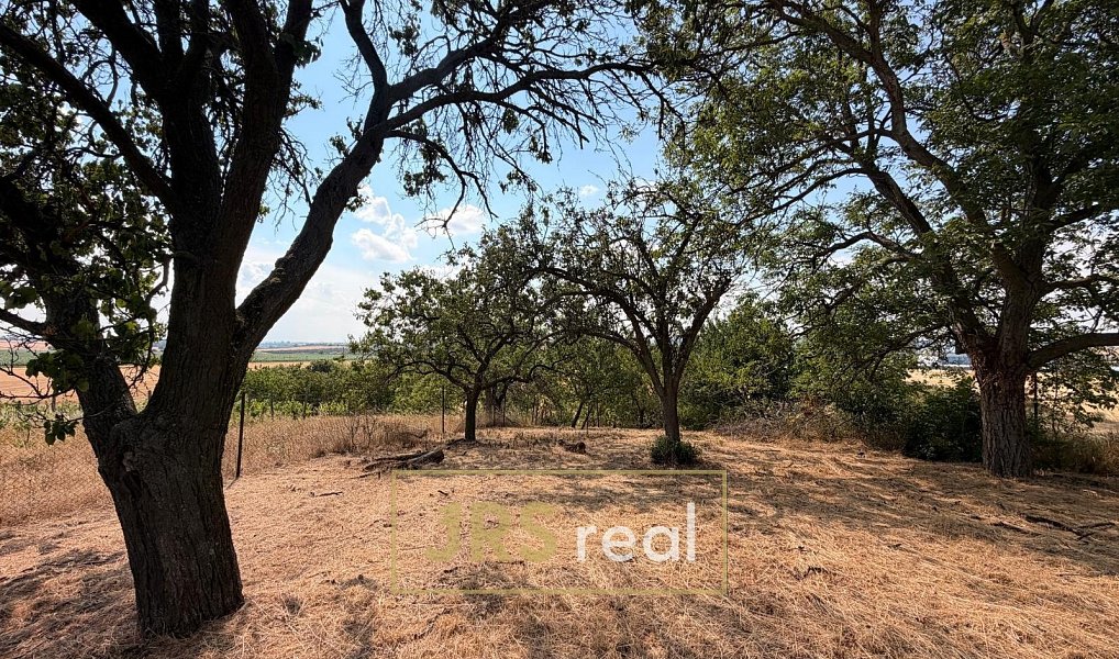 Prodej pole 1 046 m², Kyjov – náhled fotky 8