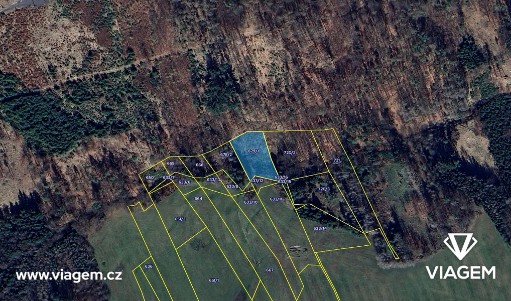 Prodej lesa 2 484 m², Stříbrná Skalice – náhled fotky 4