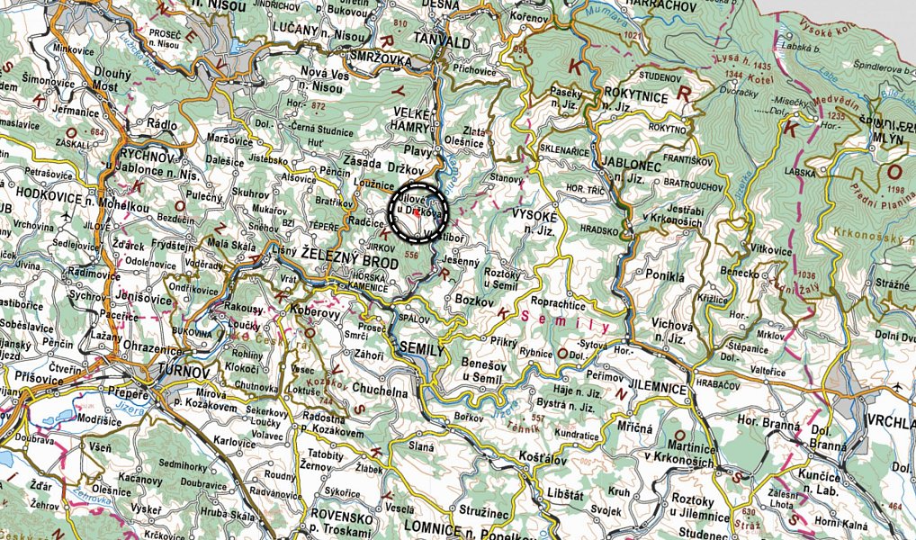 Prodej louky 5 847 m², Jílové u Držkova – náhled fotky 3
