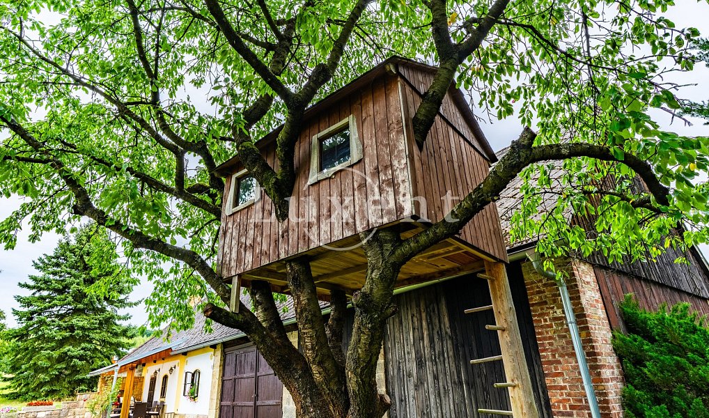 Prodej domu 600 m² s pozemkem 3 100 m², Dvůr Králové nad Labem – náhled fotky 18