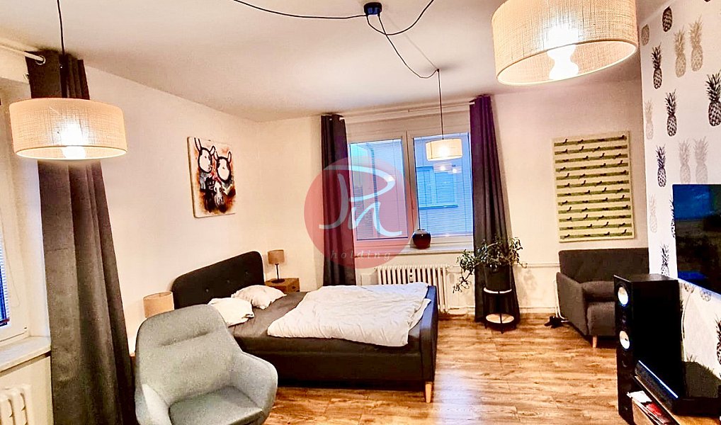 Pronájem bytu 1+1 40 m², Ostrava – náhled fotky 6