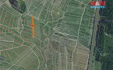 Prodej pole 2 788 m², Bzenec, okres Hodonín