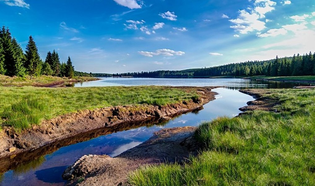 Prodej bytu 1+kk 24 m², Janov nad Nisou – náhled fotky 17