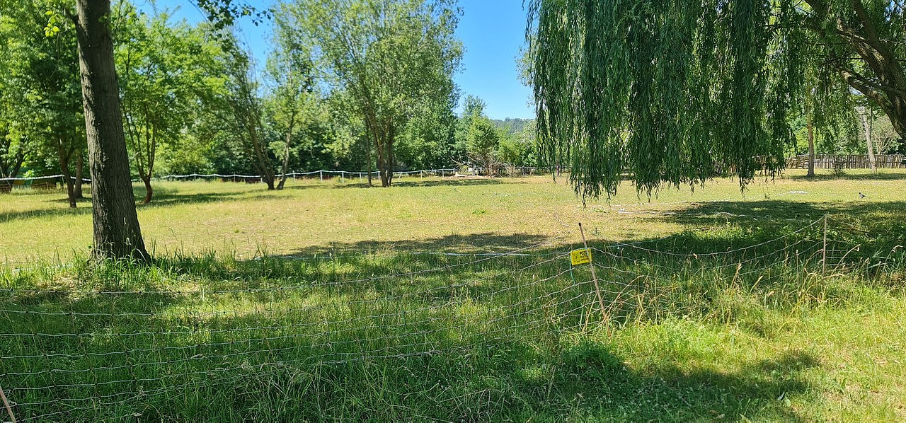 Prodej pozemku 10 828 m² – fotografie 5