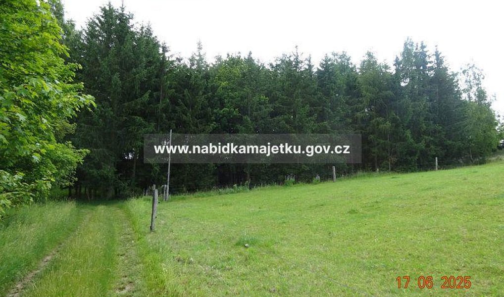 Prodej lesa 433 m², Černošín – náhled fotky 3