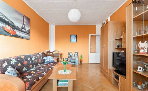Prodej bytu 2+1 53 m², Duchcovská, Teplice - Řetenice