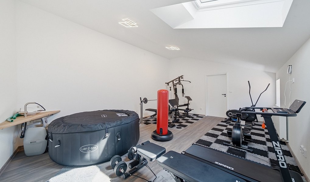 Prodej domu 350 m² s pozemkem 611 m², Čelechovice na Hané – náhled fotky 47