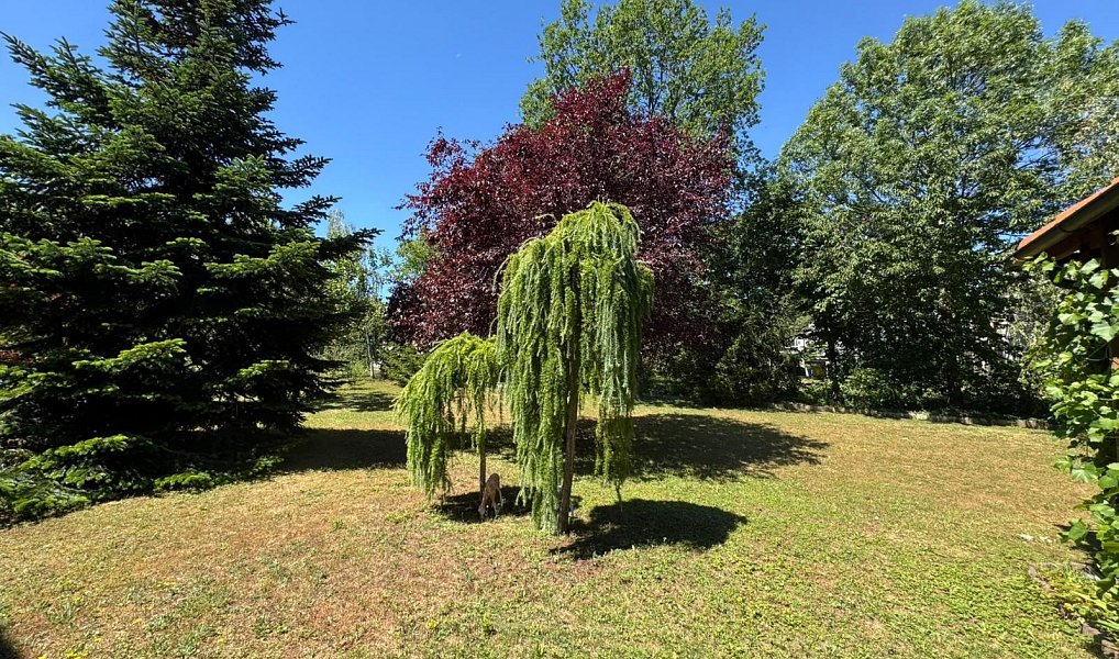 Prodej domu 300 m² s pozemkem 803 m², Praha – náhled fotky 14