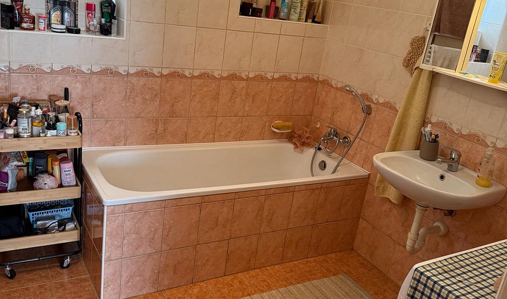 Prodej domu 105 m² s pozemkem 965 m², Palkovice – náhled fotky 13