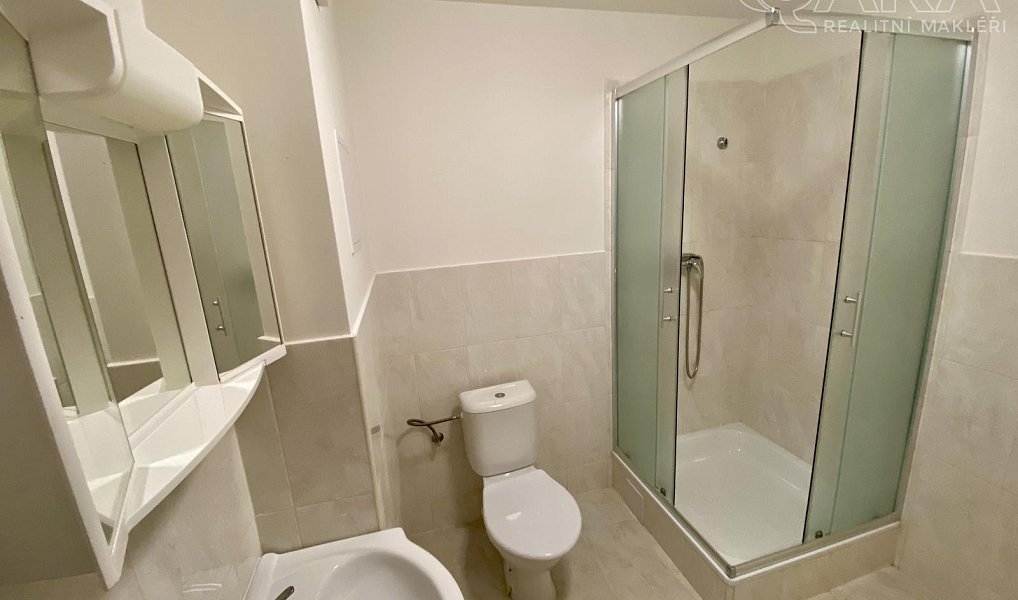 Pronájem bytu 1+kk 30 m², Ivanovice na Hané – náhled fotky 8