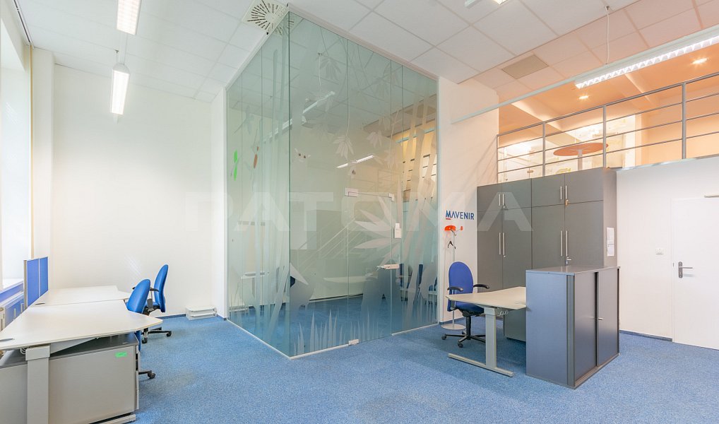 Pronájem kanceláře 215 m², Praha – náhled fotky 5