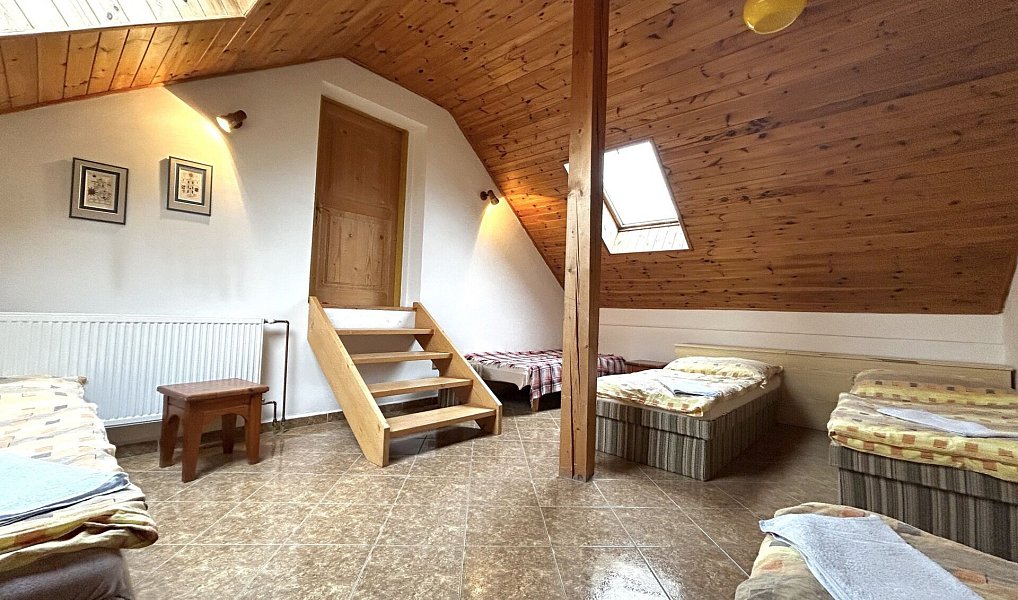 Prodej domu 225 m² s pozemkem 902 m², Dolní Dvořiště – náhled fotky 13
