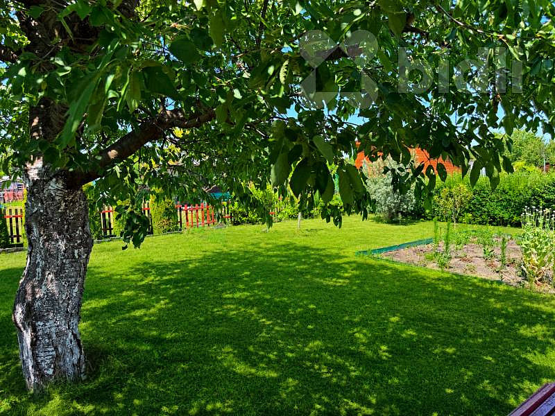 Prodej zahrady 289 m² — photo 2