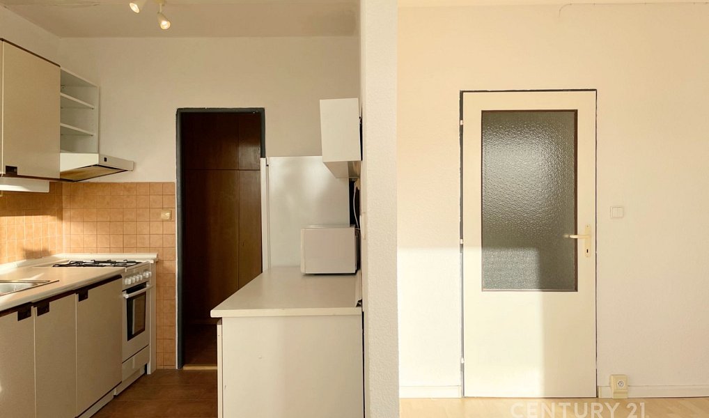 Pronájem bytu 1+1 41 m², Praha – náhled fotky 5