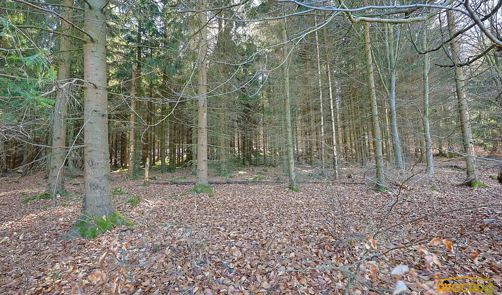 Prodej stavebního pozemku 3 162 m², Rybniště – náhled fotky 10